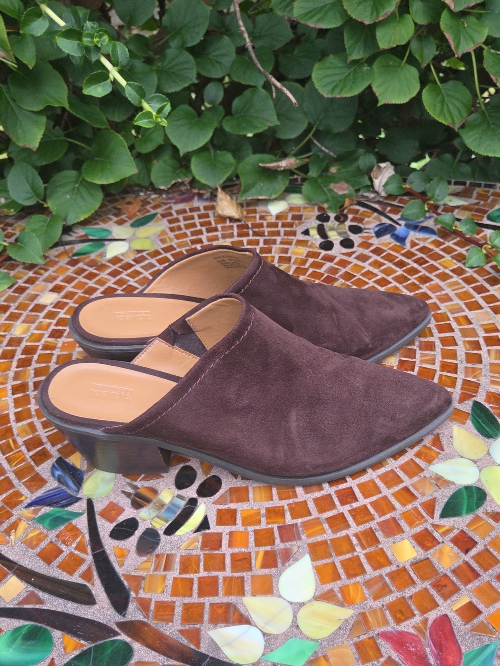 Women’s Dark Brown Suede Mules – Perfect Fall Shoes